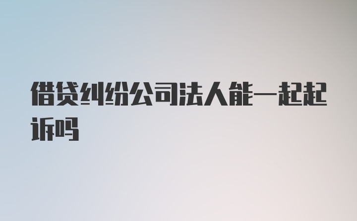 借贷纠纷公司法人能一起起诉吗