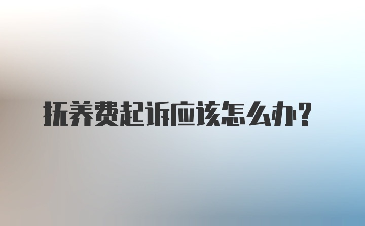 抚养费起诉应该怎么办？