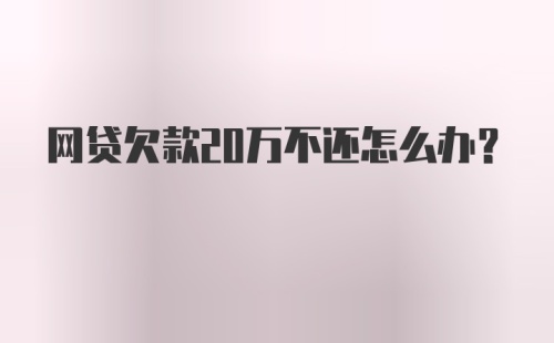 网贷欠款20万不还怎么办?