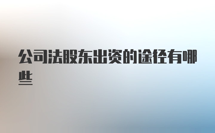 公司法股东出资的途径有哪些