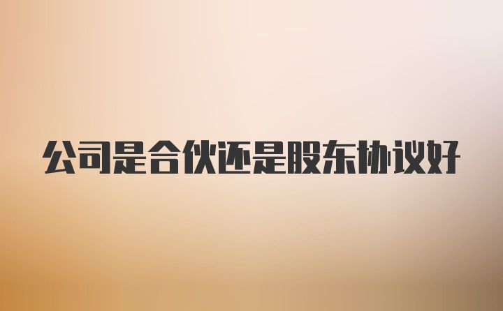 公司是合伙还是股东协议好