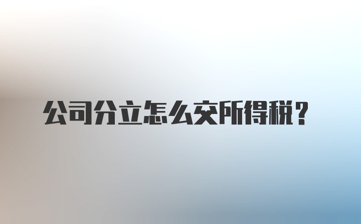 公司分立怎么交所得税？