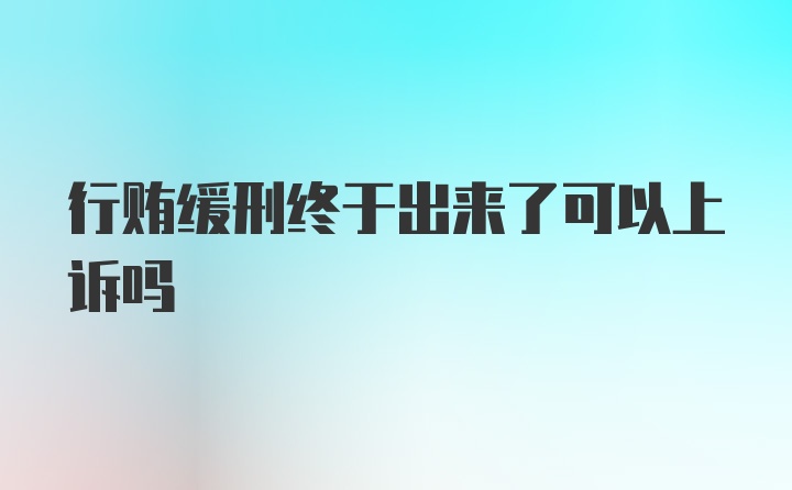 行贿缓刑终于出来了可以上诉吗