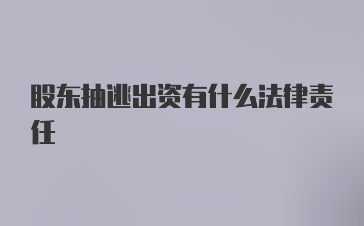 股东抽逃出资有什么法律责任