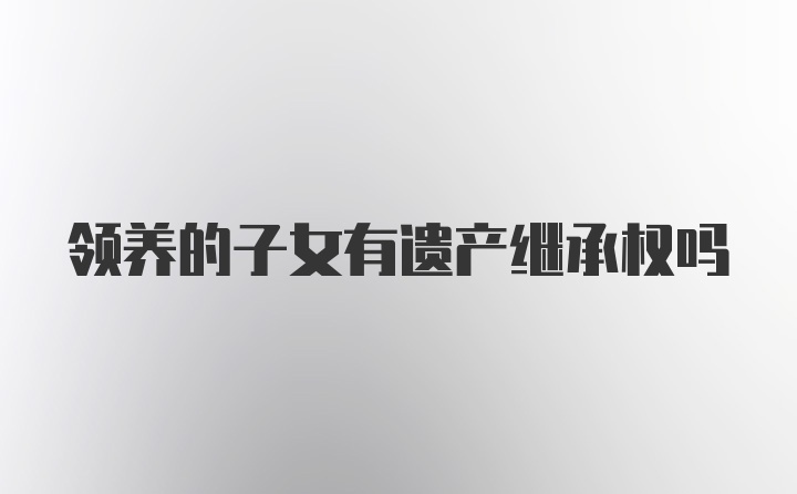 领养的子女有遗产继承权吗