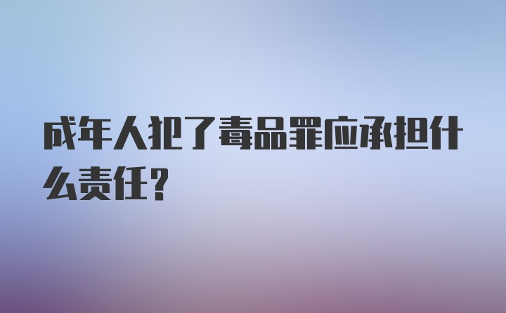 成年人犯了毒品罪应承担什么责任?