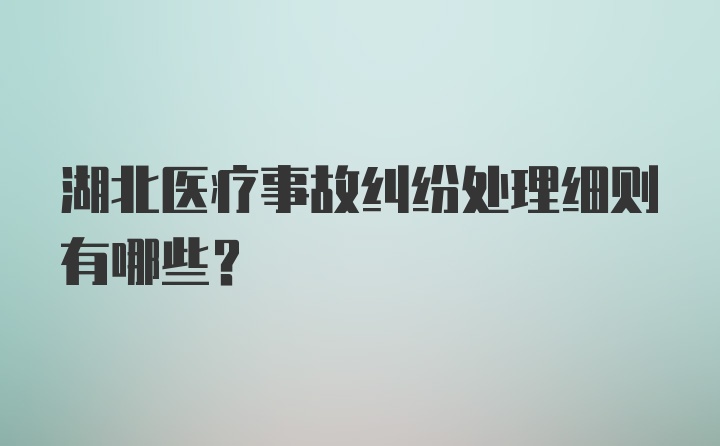 湖北医疗事故纠纷处理细则有哪些？