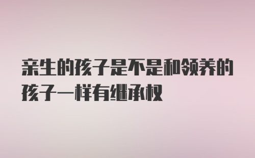 亲生的孩子是不是和领养的孩子一样有继承权