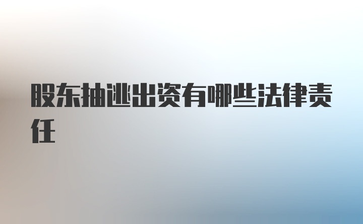 股东抽逃出资有哪些法律责任