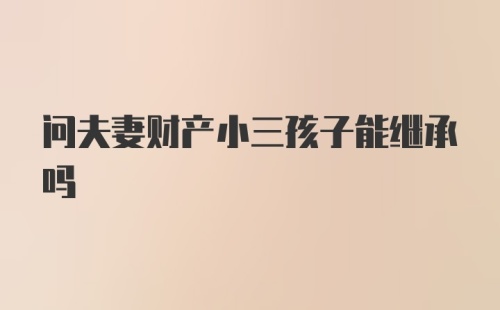 问夫妻财产小三孩子能继承吗