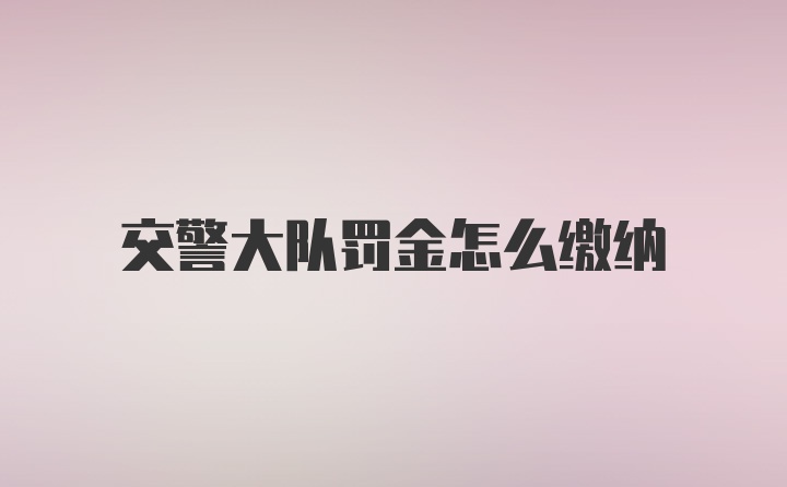 交警大队罚金怎么缴纳