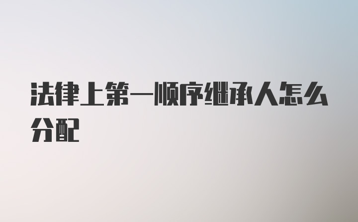 法律上第一顺序继承人怎么分配