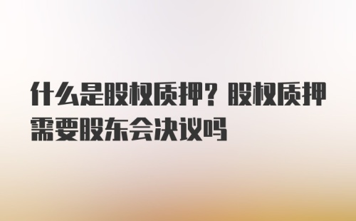 什么是股权质押？股权质押需要股东会决议吗