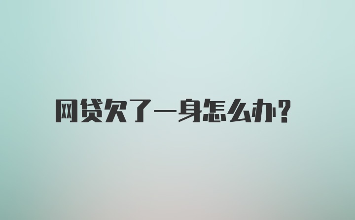 网贷欠了一身怎么办？