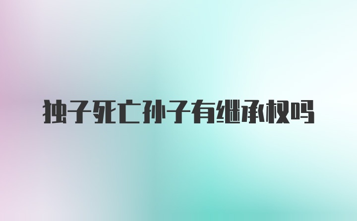 独子死亡孙子有继承权吗