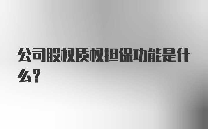 公司股权质权担保功能是什么？