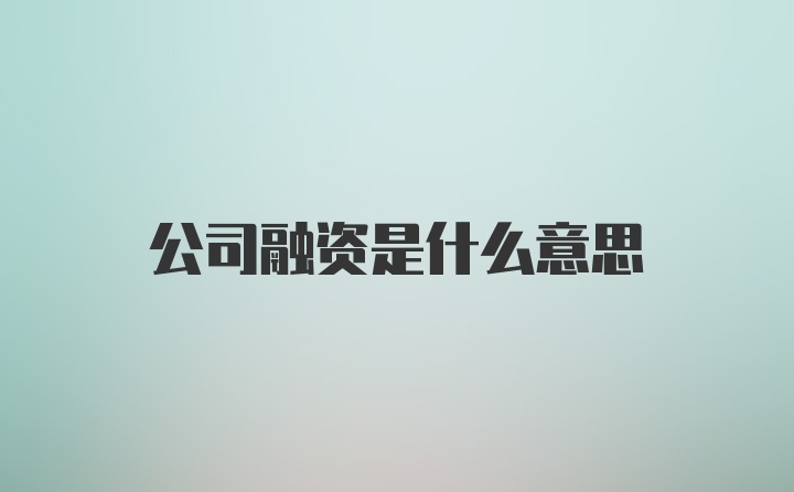 公司融资是什么意思