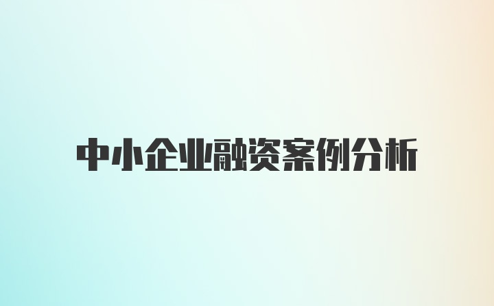 中小企业融资案例分析