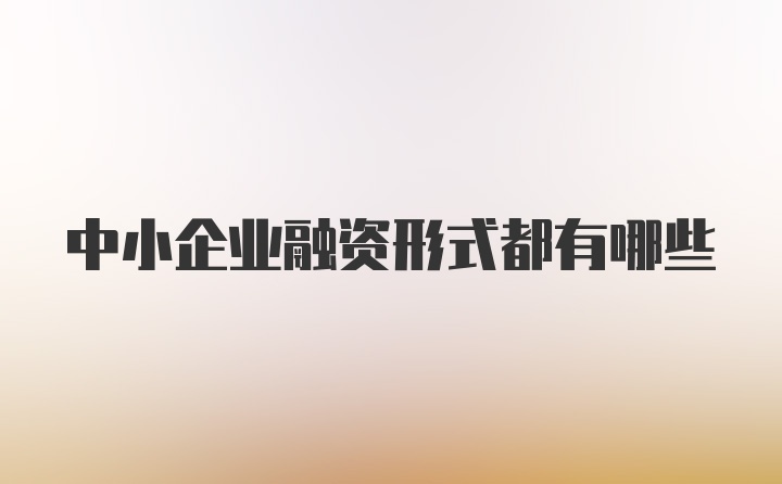 中小企业融资形式都有哪些