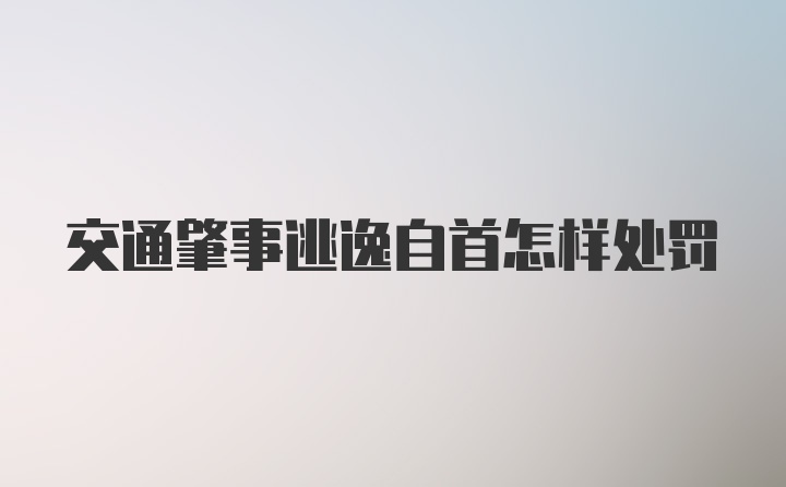 交通肇事逃逸自首怎样处罚