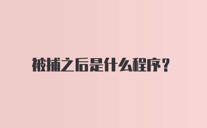 被捕之后是什么程序?