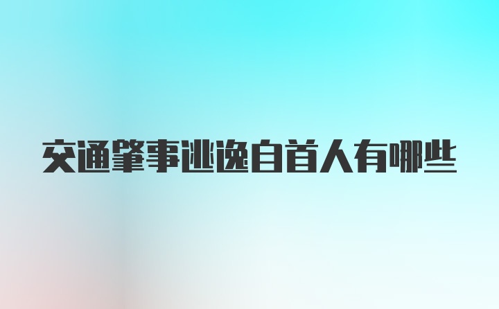 交通肇事逃逸自首人有哪些