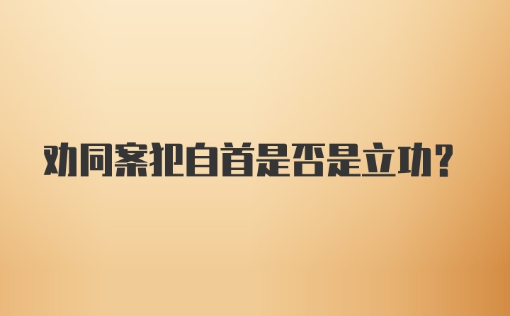 劝同案犯自首是否是立功?