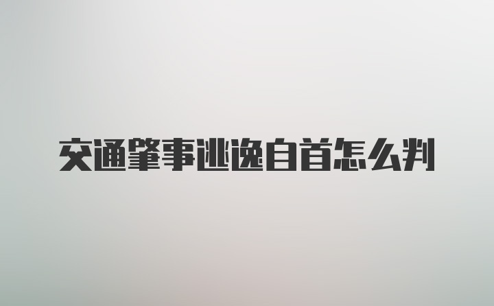 交通肇事逃逸自首怎么判