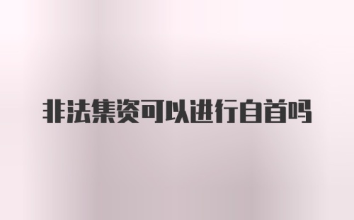 非法集资可以进行自首吗