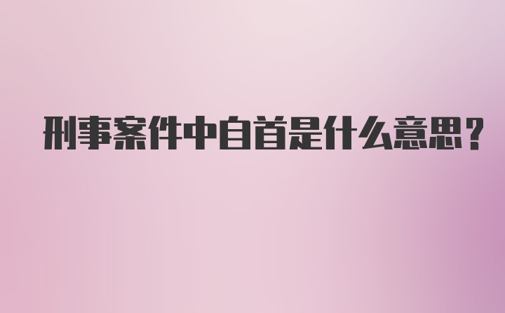 刑事案件中自首是什么意思？