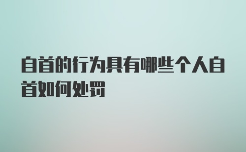 自首的行为具有哪些个人自首如何处罚