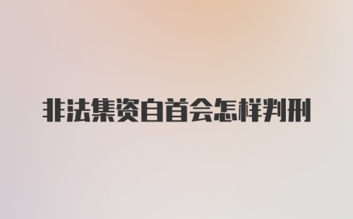 非法集资自首会怎样判刑