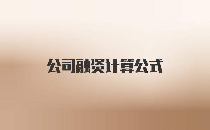 公司融资计算公式