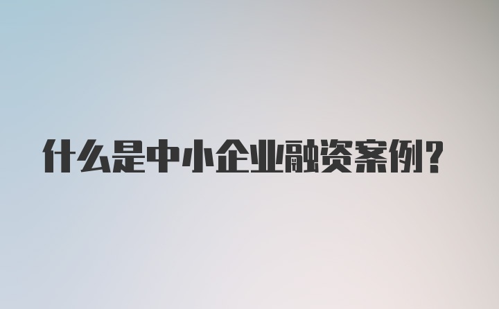 什么是中小企业融资案例？