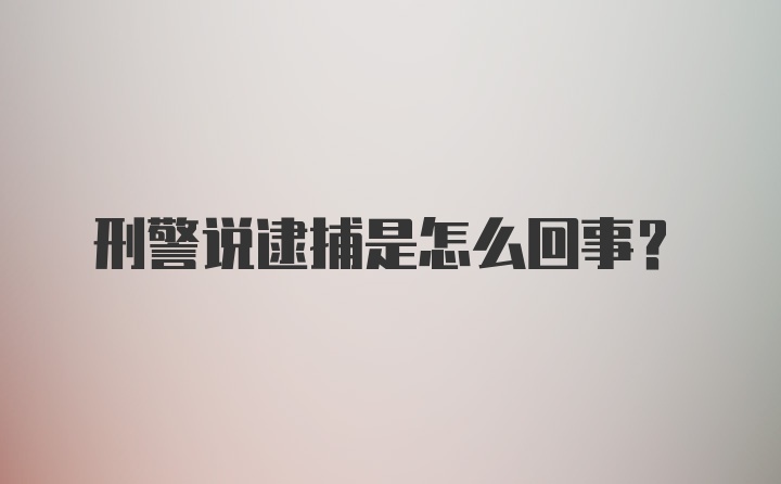 刑警说逮捕是怎么回事？