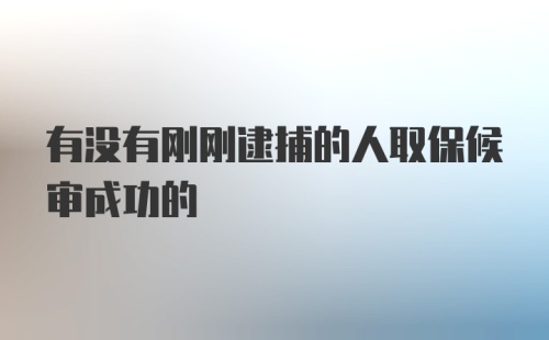 有没有刚刚逮捕的人取保候审成功的