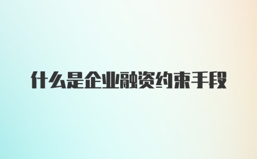 什么是企业融资约束手段