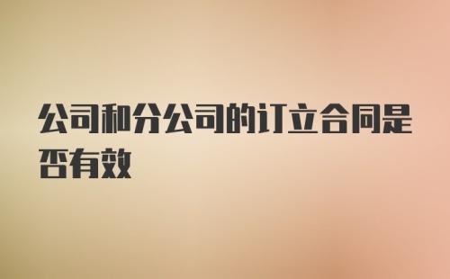 公司和分公司的订立合同是否有效