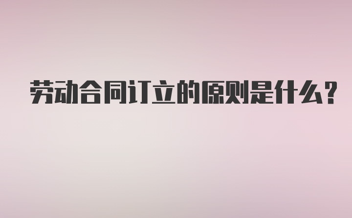 劳动合同订立的原则是什么？