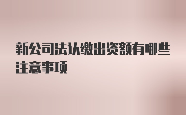 新公司法认缴出资额有哪些注意事项