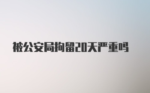 被公安局拘留20天严重吗