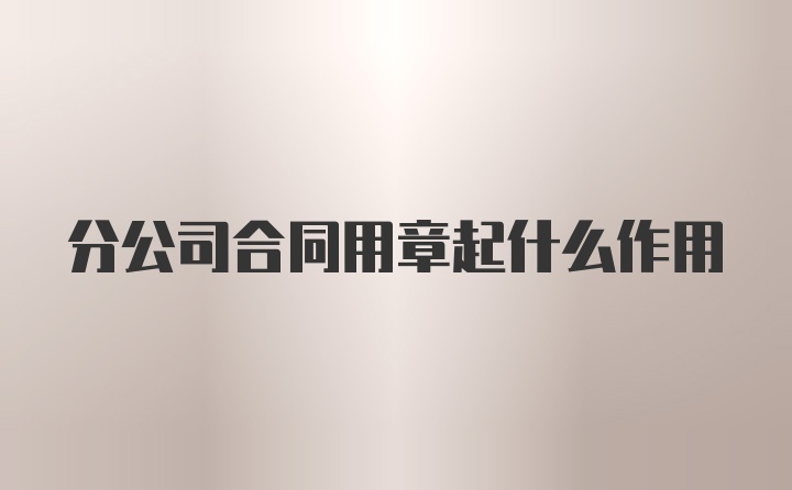 分公司合同用章起什么作用