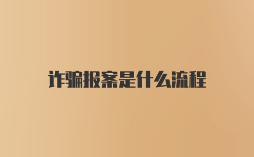 诈骗报案是什么流程