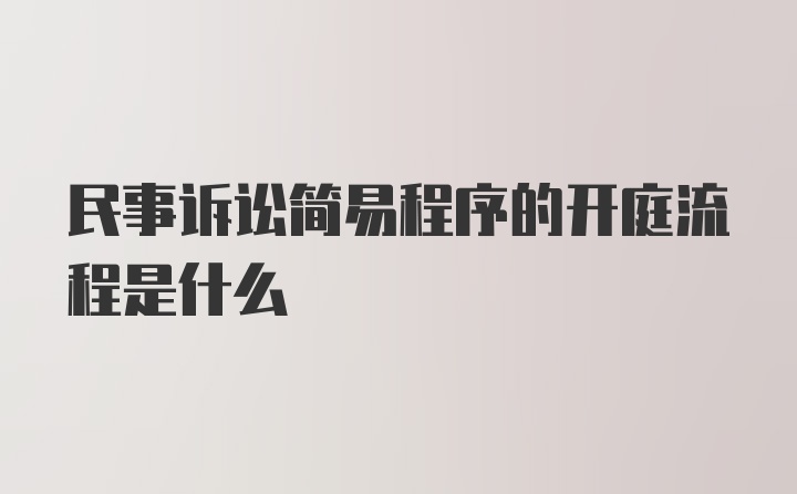 民事诉讼简易程序的开庭流程是什么