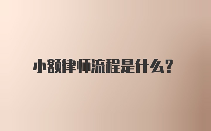 小额律师流程是什么？