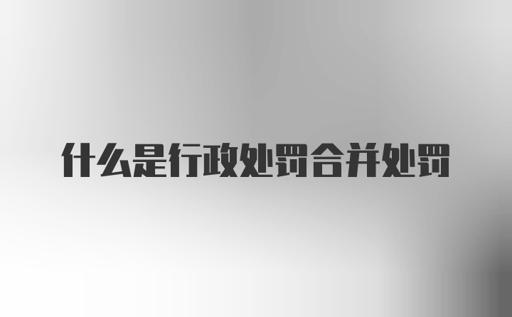 什么是行政处罚合并处罚