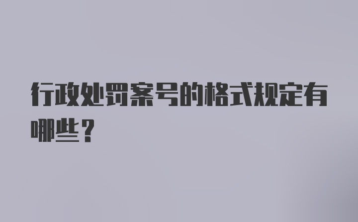 行政处罚案号的格式规定有哪些？