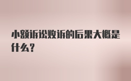 小额诉讼败诉的后果大概是什么？