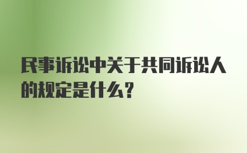 民事诉讼中关于共同诉讼人的规定是什么？