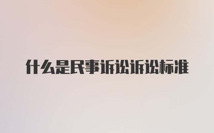 什么是民事诉讼诉讼标准